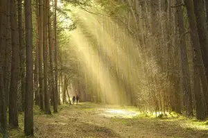 Walk In Sprchový Kout